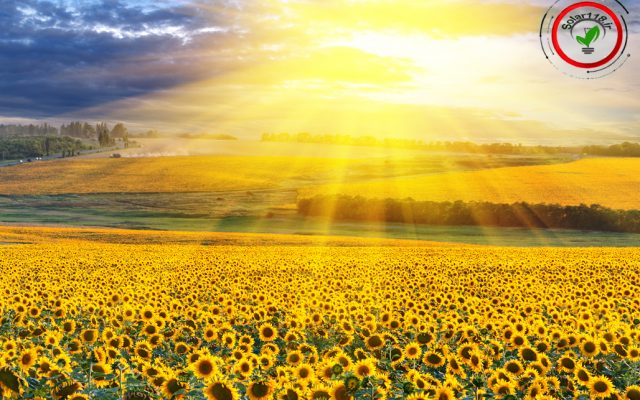 solar-energy